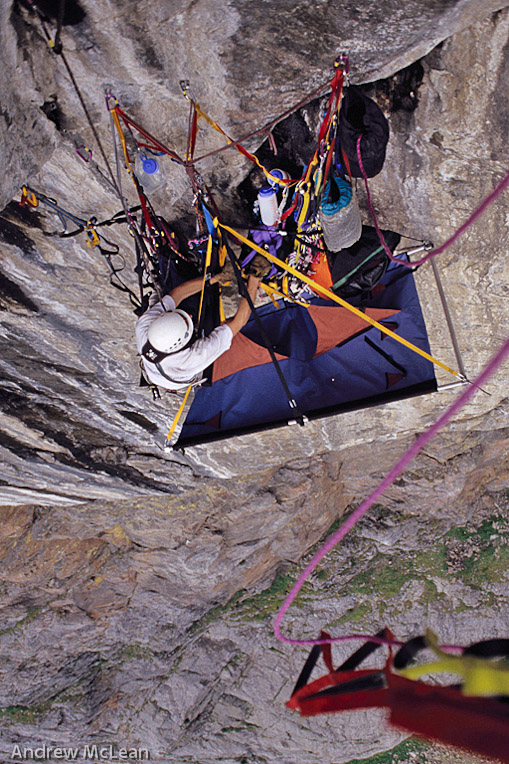 Bear's face bivy